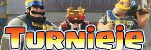 Baner 3